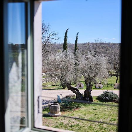 Winery Cuj Bed & Breakfast Vilanija Dış mekan fotoğraf