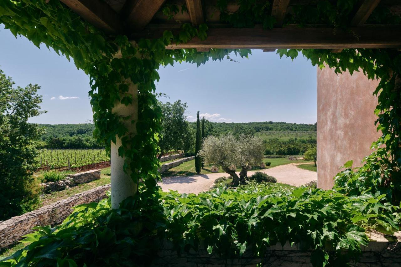 Winery Cuj Bed & Breakfast Vilanija Dış mekan fotoğraf
